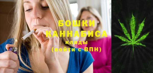 прущие крисы Каменка