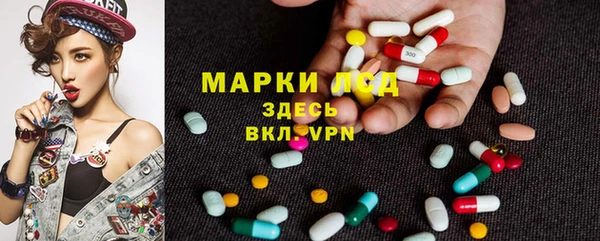 прущие крисы Каменка