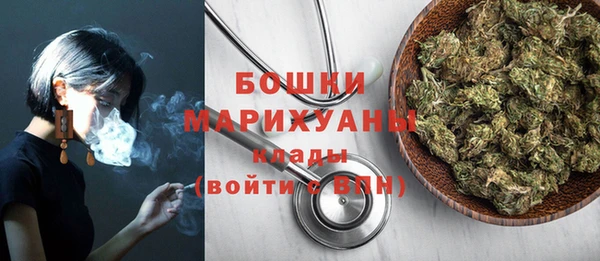 прущие крисы Каменка