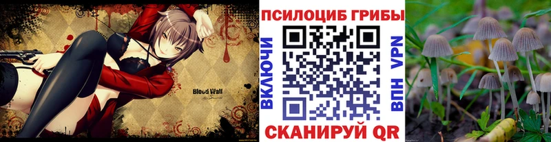Галлюциногенные грибы Cubensis Кедровый